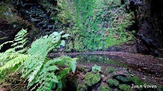 Ruta. Fuente de Mencáfete. Un sendero de fantasía. Isla de El Hierro.