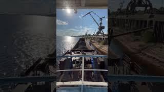 Выгружаемся портальным краном на Борском грузовом причале #нижнийновгород #бор #выгрузка #баржа