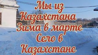 Наша сельская жизнь в Казахстане/Привет бывшим землякам из открытого окна/Мороз/Бездомные собаки/