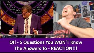 American Reacts to QI! - 5 Questions You WON'T Know The Answers To! REACTION