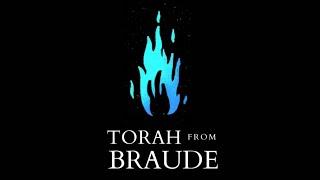 Massei - Creating an Environment - Torah from Braude