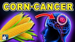 Don't ever eat CORN  like this! Causes cancer and memory loss! Solution! Dr. John