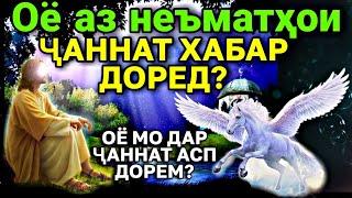 ОЁ АЗ НЕЪМАТҲОИ ҶАННАТ ХАБАР ДОРЕД? ОЁ МО ДАР ҶАННАТ АСП ДОРЕМ?