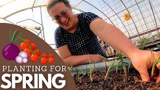 Tomato & ONION Planting For The Spring Garden! (Baby Goats & Bunnies Too!) | Farm Life VLOG