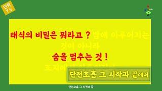 태식호흡의 시작과 관리법 및 단전호흡법(자동호흡, 심법, 단전밸런스)