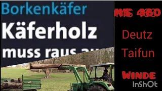 Käferholz Deutz Käferfichten Taifun Seilwinde Borkenkäfer Stihl ms446 260