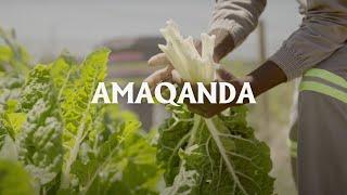 Amaqanda Learning Garden - Regenerative Farming