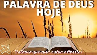 Palavra de Deus para mim hoje | No momento difícil Deus, nos fortalece e nos capacita (Mt 7,6.12-14)