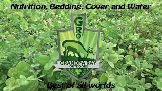 Best Of All Worlds | Food Plot with Everything | Whitetail Deer Nutrition | Grandpa Ray Outdoors