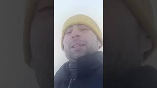 Порадует!#shortvideo #против #шерсти