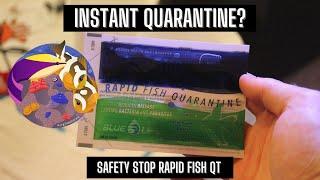 Safety Stop Rapid Fish Quarantine - Blue Life USA