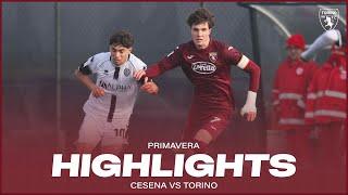 CESENA-TORINO 2-1 | HIGHLIGHTS | PRIMAVERA