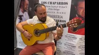 Guitarrón de Gerundino Fernández Hijo