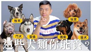 必看！你想養的狗，真的適合嗎？【熊爸有話說】5 ｜熊爸估狗