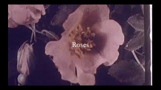 "ROSES" - Emily Kuhn featuring Helios