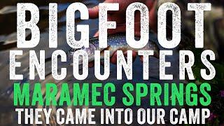 BIGFOOT ENCOUNTER ON THE MERAMEC RIVER | TROUT FISHING AND WHITETAIL HUNTING (IT CAME INTO CAMP!!!)