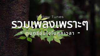 รวมเพลงเพราะๆ ดนตรีอุ่นใจในทุกเวลา - By Mellow Tunes