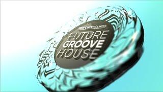 Future Groove House (Sample Pack) by Skifonix Sounds