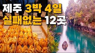 sub) 2024 제주 여행 가기전 일정 정보 꿀팁 공유해요!! 맛집 카페 핫플 숙소 총정리