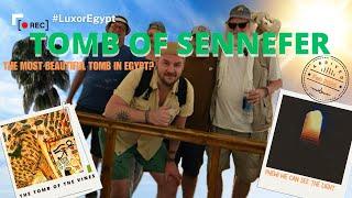 Egypt's Most Beautiful Tomb?!? ~ The Tomb Of Sennefer, Luxor #037 ~ The Amphora Annals