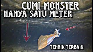 TEHNIK TERBAIK MANCING CUMI DI MALAM HARI ~ DALAM NYA SEGINI -INI ULASAN NYA