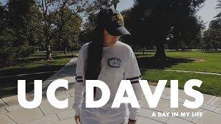 A DAY IN THE LIFE AT UC DAVIS