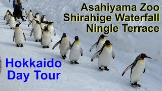 Klook Hokkaido Day Trip (Japan 2023 Part 8) Asahiyama Zoo, Shirahige Waterfall and Ningle Terrace