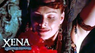 A Busca Por Ambrosia | Xena: A Princesa Guerreira