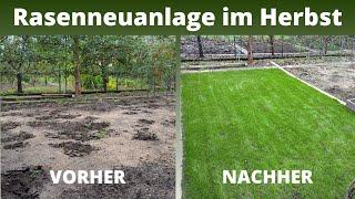 Was bringt eine Rasenneuanlage im Herbst?  | Lohnt sich der Aufwand?