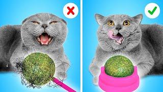 Unverzichtbare GADGETS für KATZEN! Wie man Haustiere vor Eltern versteckt von La La Lebensfreude