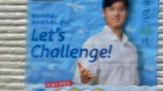 Let's Challenge Japan-glish!!