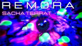 REMORA (Music Video) - Sacha TERRAT (Oceanic Trip Hop)