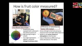 What is Fruit Quality and Factors That Affect it?