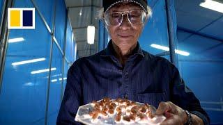 Japanese man spends 40 years breeding snails for this dish
