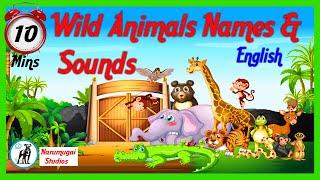 Whild Animals Names & his Sound - Forest Animals name - Narumugai Studios - Animals Sounds & videos