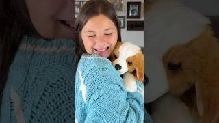 Little Live Pets My Really Real Puppy | Patches The Beagle #kidsshorts #toysforkids #toyreview