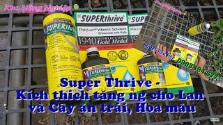 SuperThrive - Siêu phẩm Hóc môn tăng trưởng cho Lan! [MAI HUY]