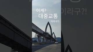 땅에 내려오지 않는 대중교통?!
