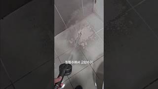 청소건 까지 품은 만능 필터 샤워기