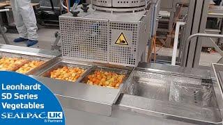 Casserole Vegetable Mix Depositing with Leonhardt SD Series | Automation in the Food Industry