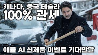 #다우지수 사상 최고치 갱신! 캐나다 #테슬라 100% 관세 적용? #엔비디아 #실적 경계감?