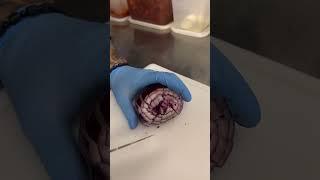 Lifehack with onion.