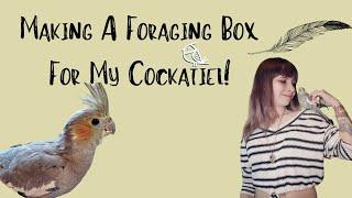 Making A Foraging Box For My Cockatiel!