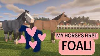 Breeding Magic and Venture; my first two horses! SO CUTE! Minecraft SWEM RRP