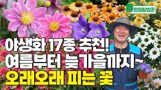 가을까지피는 다년생 야생화 17가지 (5품종) 소개합니다 (전국택배가능)