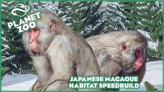 Japanese Macaque Habitat Speed Build!!! Planet Zoo
