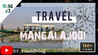 MANGALAJODI #BIRD PARADIS //chilika lake//bird//mangalajodi//chilika lake odisha tourism