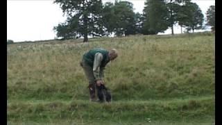 Shooting Times gundog training