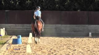 Eventer Exercise 4- Square Turns (preview)