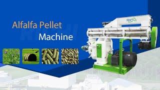 RICHI Alfalfa pellet machine for sale